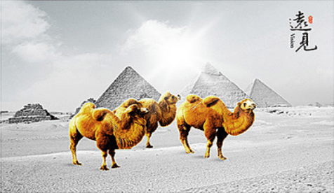 公司遠(yuǎn)見圖片